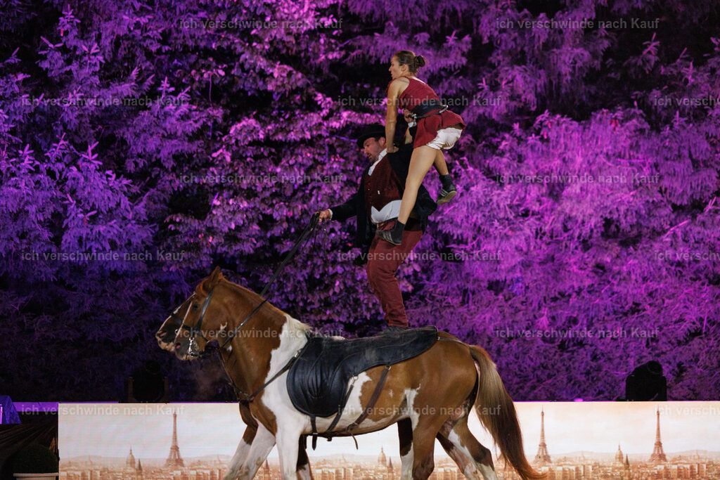 Gala-31 | working equitationturnier fotograf videograf stoibphotography marixx film working equitation deutschland reitsport turnierfotografie eventfotografie equestrian events