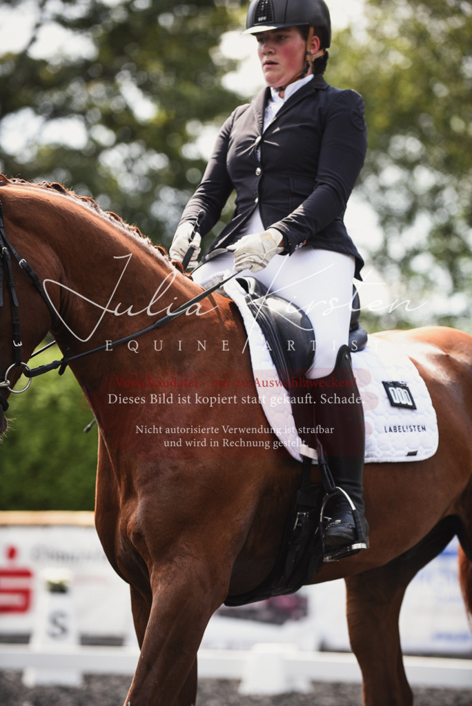 DSC_4209 | Pferde- und Turnierfotografie in Westsachsen. Pferdeportraits, Auftragszeichnungen und intuitive Kunst.