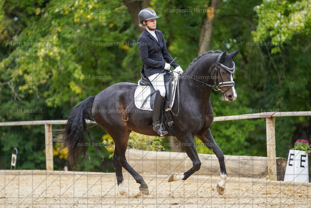 20231007-SN_00658 | Diessen am Ammersee, 2023, Dressur- und Springturnier, Reitsport, Turnierfotografie, Pferdebilder, Reitbilder, Turnierfotografen Bayern, Fotoagentur Herrmann