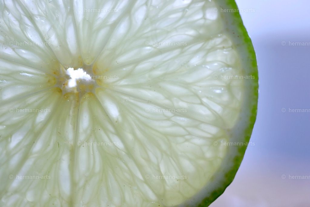 Fruits-Art-017 | Photo Foto Kunst Art schwarzweiss Bilder Rheine Münster Berlin Blumen 