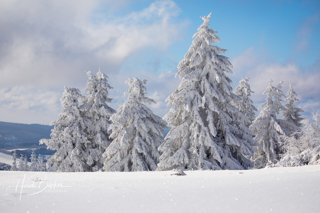 Winterlandschaft auf dem Kahlen Asten | Schneebedeckte Tannen auf dem Kahlen Asten bei Winterberg - Realisiert mit Pictrs.com