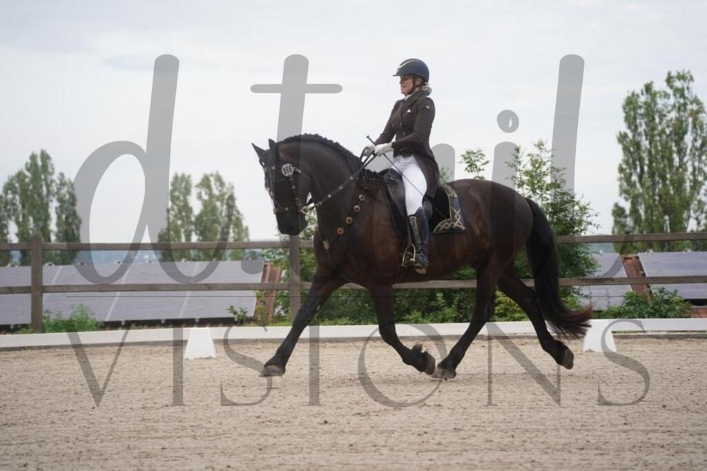 tgbhsamstag (242) | d.tail Visions - Shop - Realisiert mit Pictrs.com