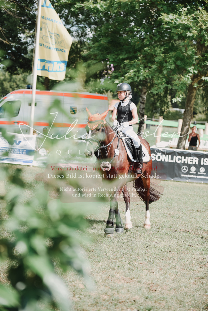 DSC_5686 | Pferde- und Turnierfotografie in Westsachsen. Pferdeportraits, Auftragszeichnungen und intuitive Kunst.