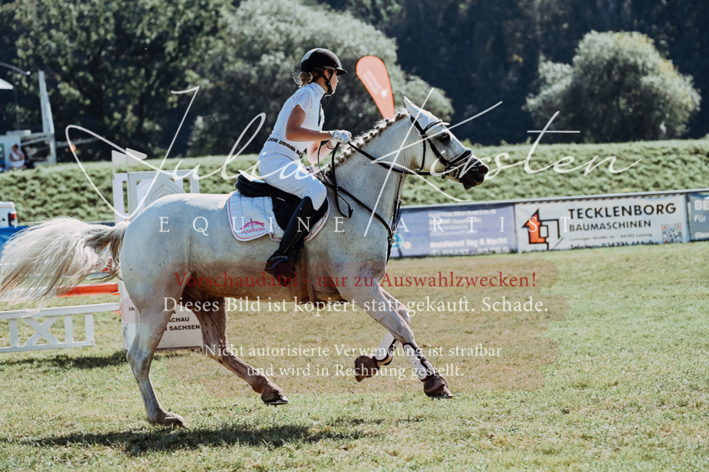 DSC_6089 | Pferde- und Turnierfotografie in Westsachsen. Pferdeportraits, Auftragszeichnungen und intuitive Kunst.