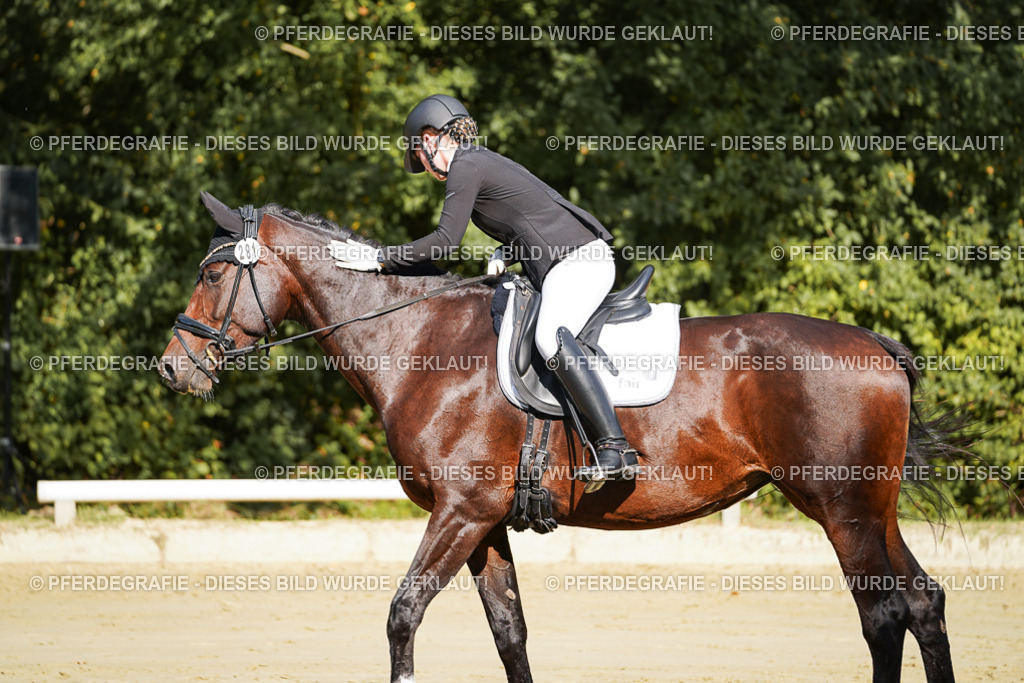 DSC08073 | Pferdegrafie