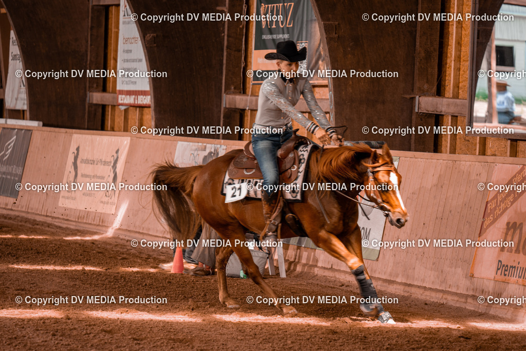 NE300700 | dv-media-shop - Realisiert mit Pictrs.com