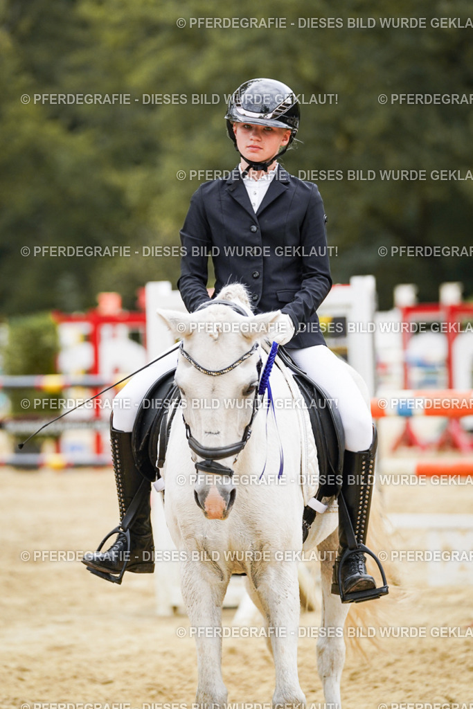 DSC06244 | Pferdegrafie