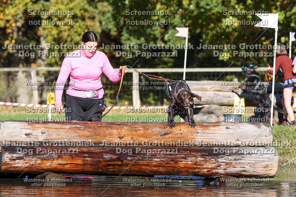 Dog Paparazzi - Strongdog 10-25-8916 | Dog Paparazzi Jeanette Grottendiek Fotografie & Videografie - Realisiert mit Pictrs.com