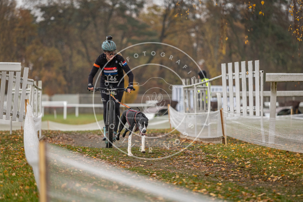 CaniXpix_DV3A8542 | Hundefotografie, Tierfotograf, Pfotenfotografie, Fotoshooting Hund, Hunde Portrait, Hundesport, Hundeportraits, Heideshooting, Hunde, Sportfotograf, Hundefotograf, Turnierhundsport, THS,  - Realisiert mit Pictrs.com