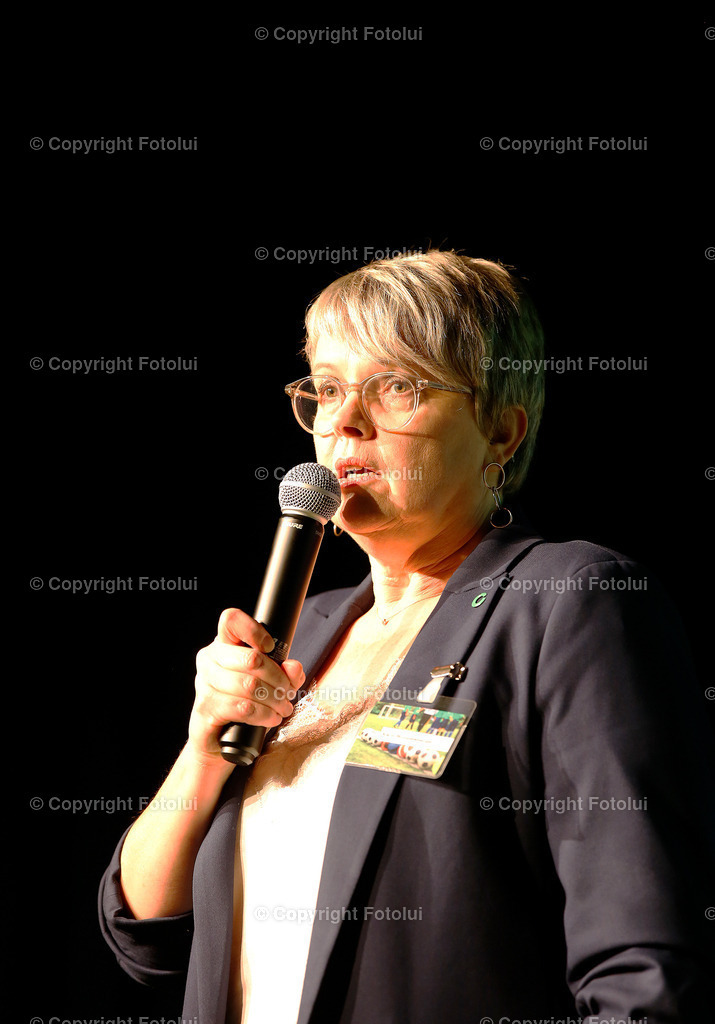 VEREINSCOACHING_98 | bilder, linz, photo, foto, fussball, sport, fotolui, bundesliga