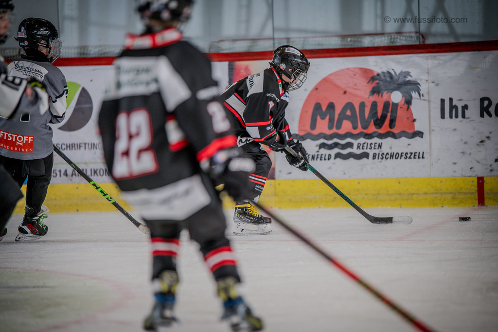 DSC_1140 | "Fussifoto.com – Ihr Ansprechpartner für hochwertige Fotografie! Entdecken Sie kreative Bilder und professionelle Dienstleistungen. Kontaktieren Sie uns für Ihre Projekte!"