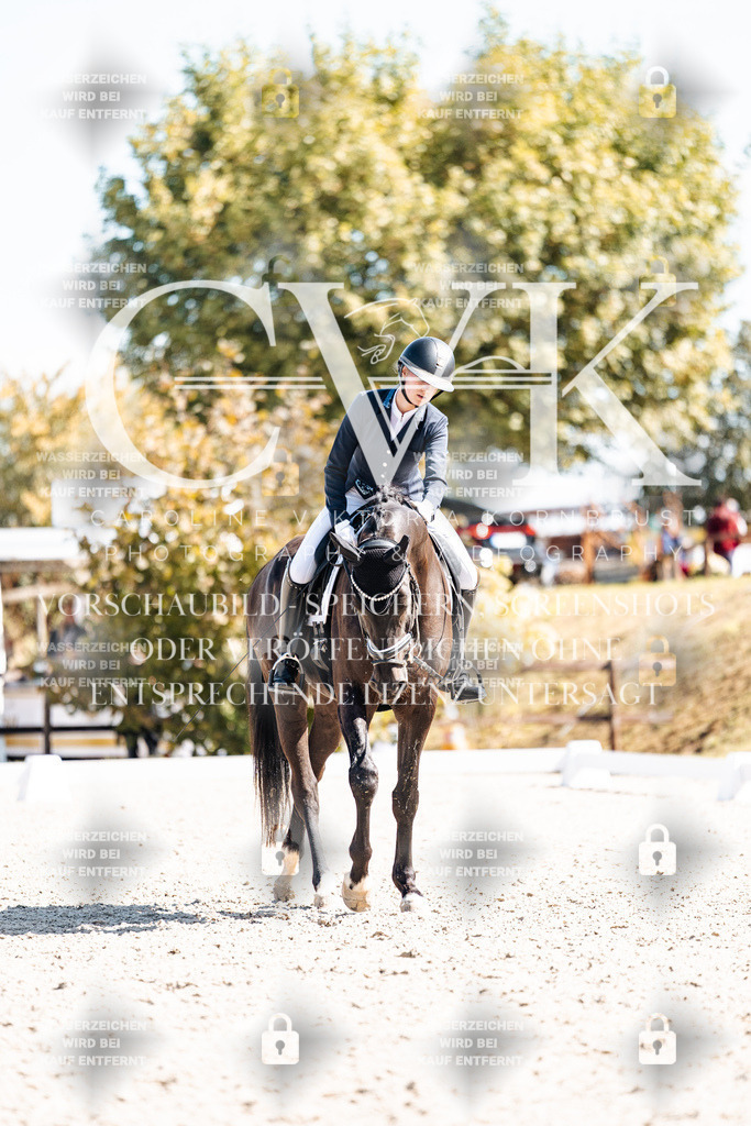 CK903491 | Turnierfotografie Pferdefotografie Trier Rheinland-Pfalz Pferdesport Reitsport Tierfotografie Sportfotografie Pferdevideo Pferdevideografie Equestrianvideography equestrianphotography  - Realisiert mit Pictrs.com