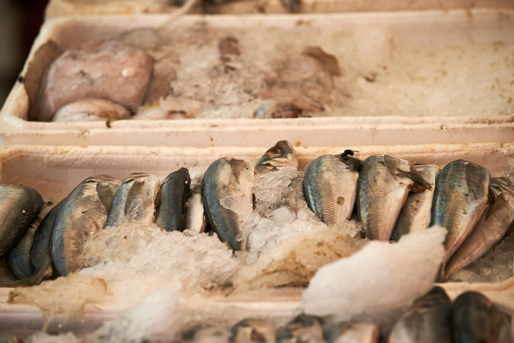 Marktstand mit Fisch | Amsterdam, Niederlande - July 16, 2014: Marktstand mit Fisch. - Realisiert mit Pictrs.com