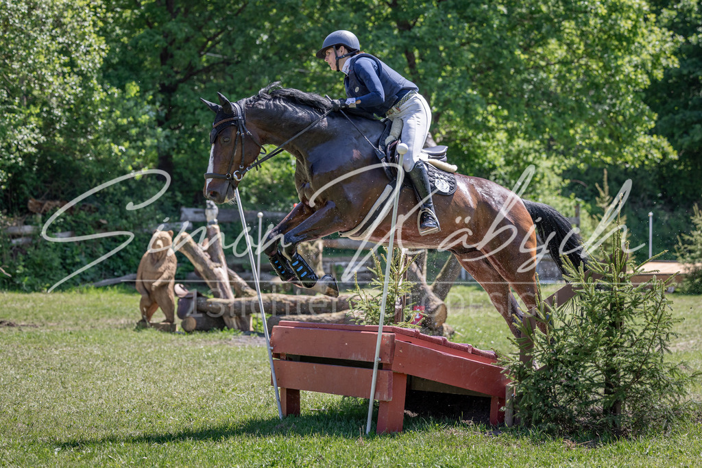 20260523-_3LI8314 | Tierfotografie Pferde, Hunde, Katzen, Haustiere.
Turnierfotografie Reitturniere, Reiten, Springreiten, Dressur in Hanau, dem Main-Kinzig-Kreis und dem Rhein-Main- Gebiet um Frankfurt