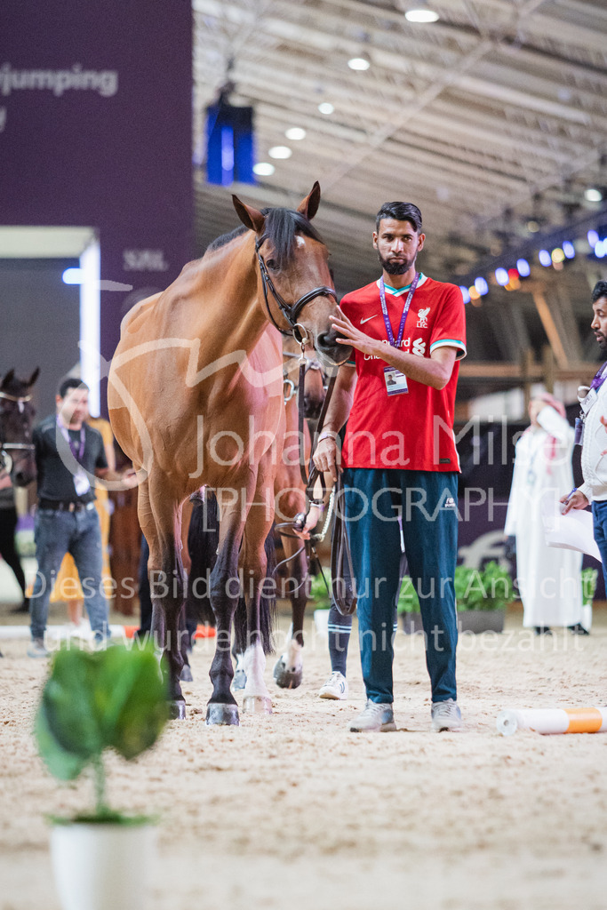 230215_Riyadh_Vet-Check-124 | Deine schönsten Turniermomente als professionelle Fotos! Entdecke hochwertige Pferdesport-Fotografie im Online-Shop. Jetzt Fotos finden & bestellen!