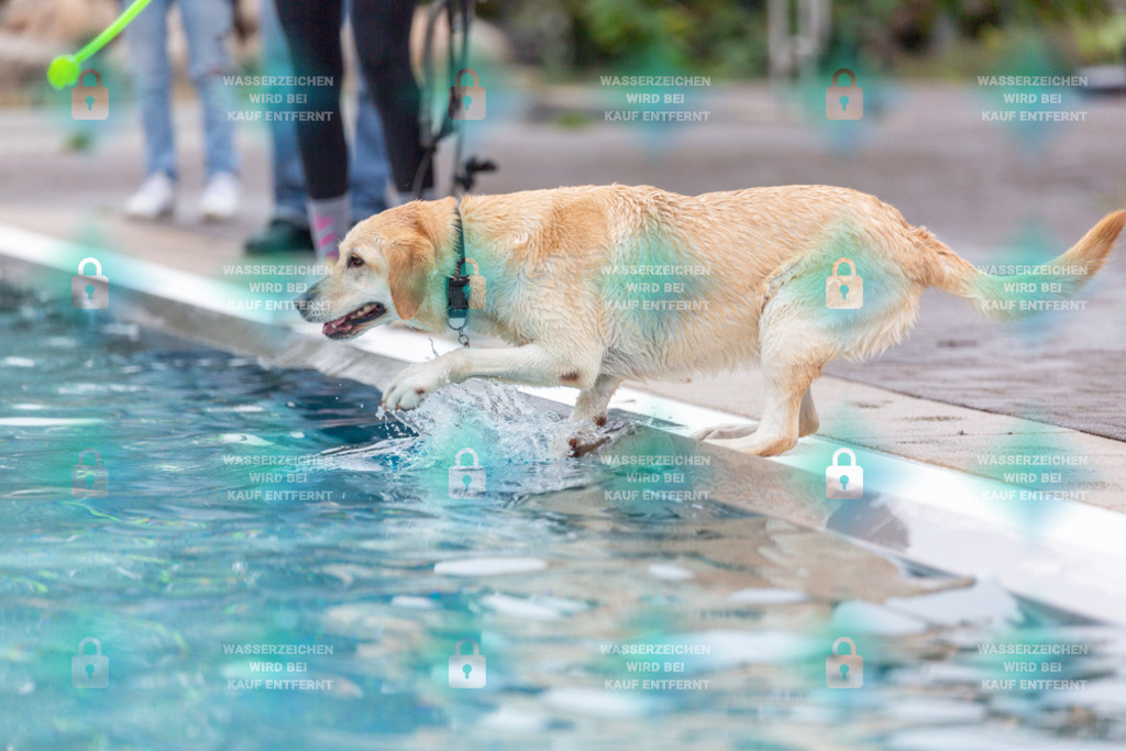 _HP_7134_1000o | HetPix, HetPix Fotodesign, Fotografie, Fotodesign, Webshop, Sportfotografie, Portraitfotografie, Onlineshop, Sportfotografie, Polch, Motorsportfotografie, Eventfotografie