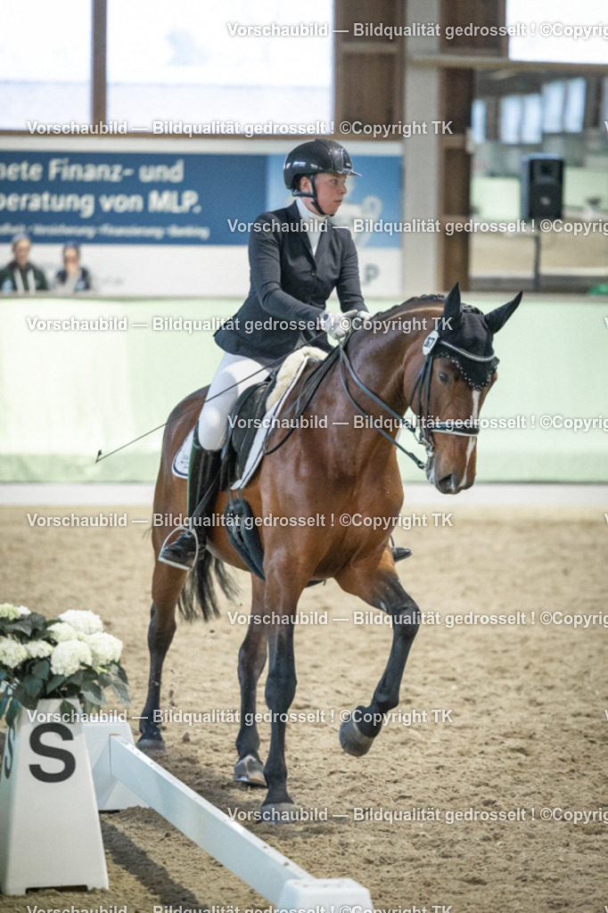 _D5A3705 | Emotionale Pferde- & People-Fotografie rund um Heidelberg, Leimen & Umgebung. Natürliche Fotos von Pferd, Mensch & Familie. Jetzt Termin sichern!