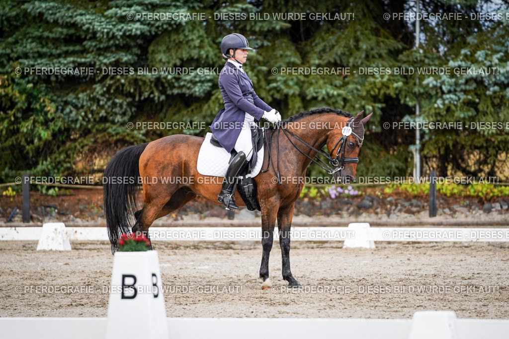 DSC00215 | Pferdegrafie