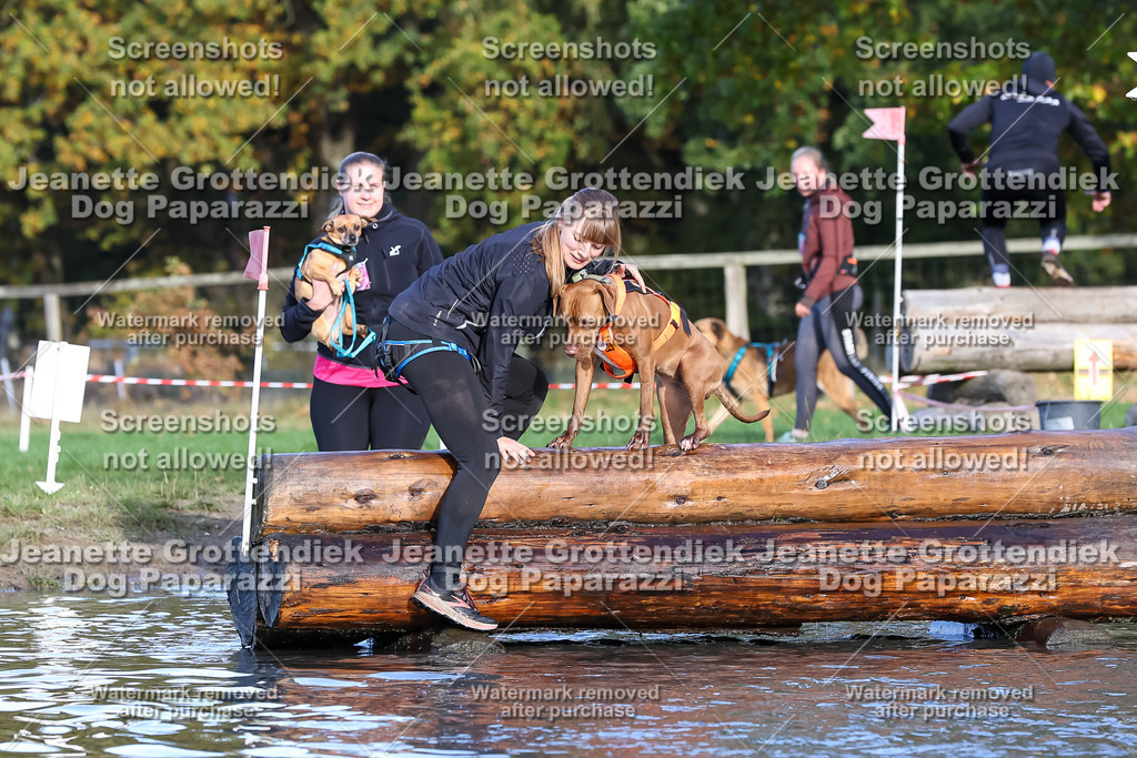 Dog Paparazzi - Strongdog 10-25-8548 | Dog Paparazzi Jeanette Grottendiek Fotografie & Videografie - Realisiert mit Pictrs.com