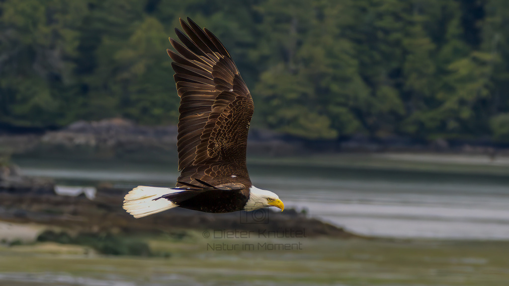 P1628232-Verbessert-RR-Bearbeitet-2023-LR | Natur im Moment - Realisiert mit Pictrs.com