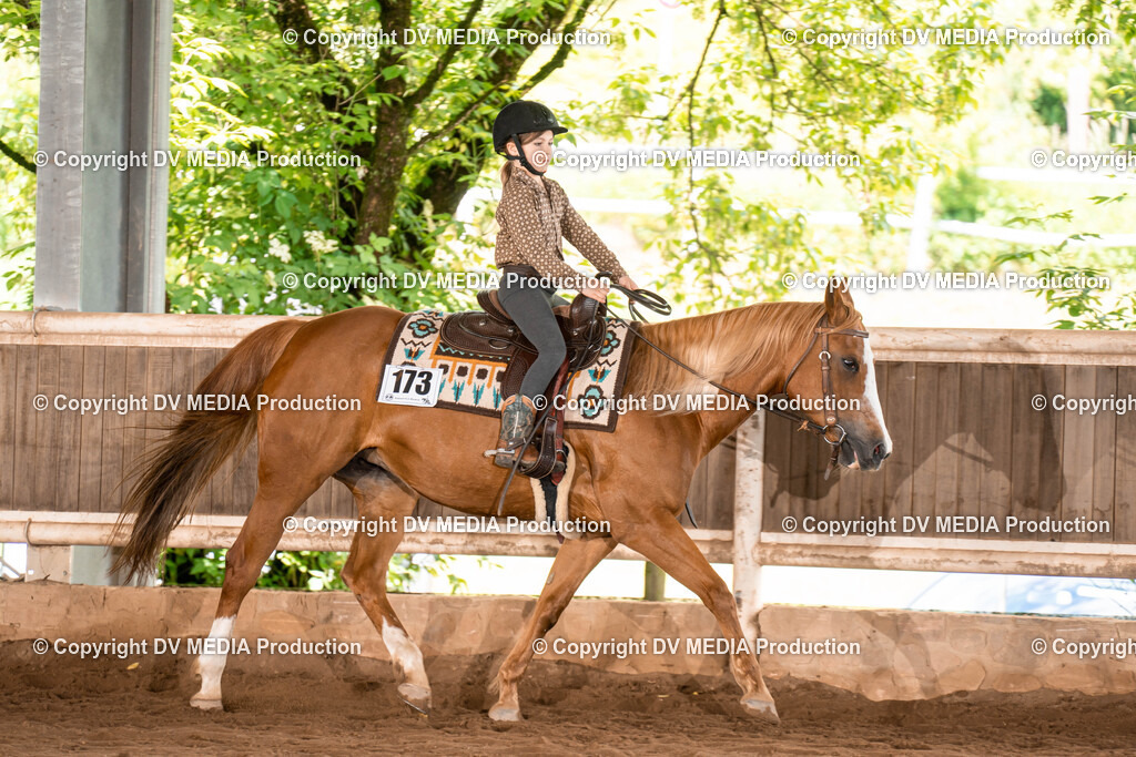 Erbach Tag 1-533 | dv-media-shop - Realisiert mit Pictrs.com