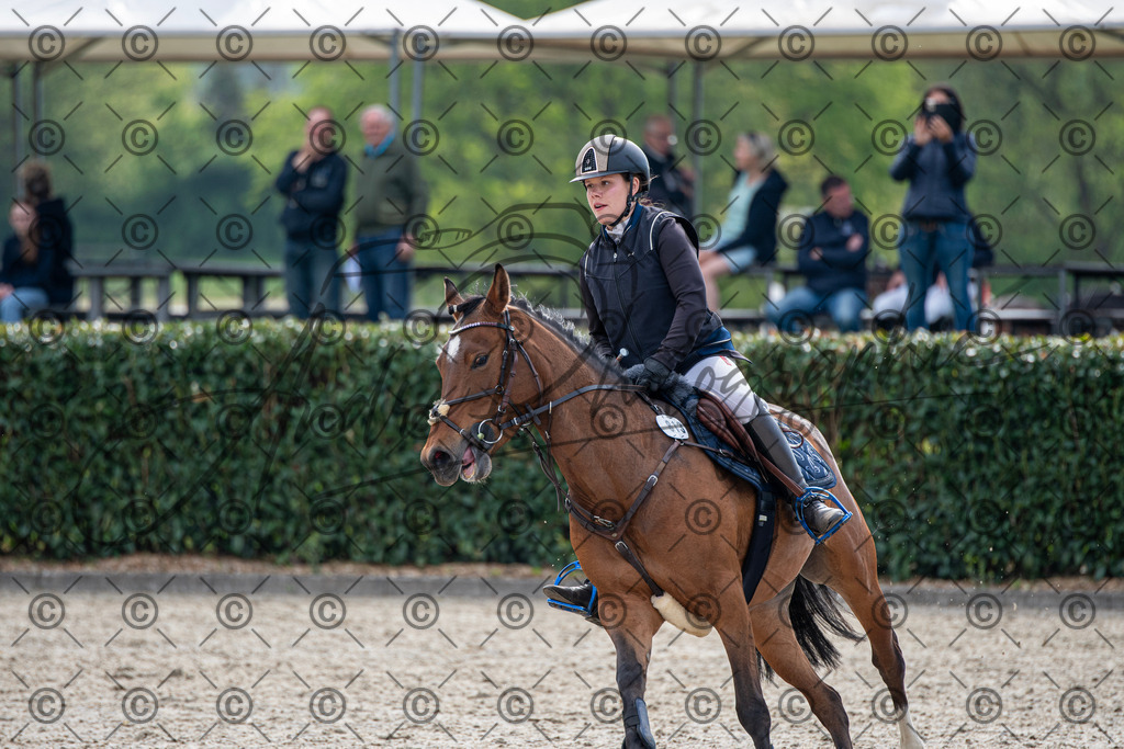 KPT_2388 | andre_photographic