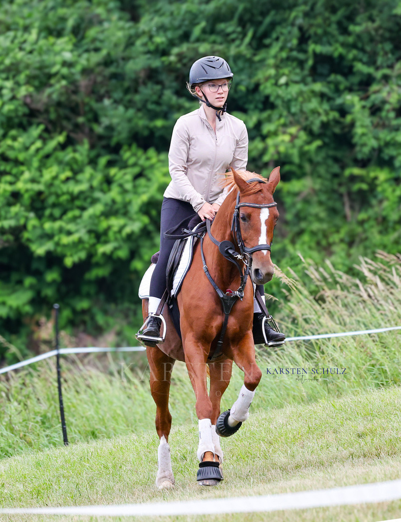 1B3A2929 | Reitsport Reiten