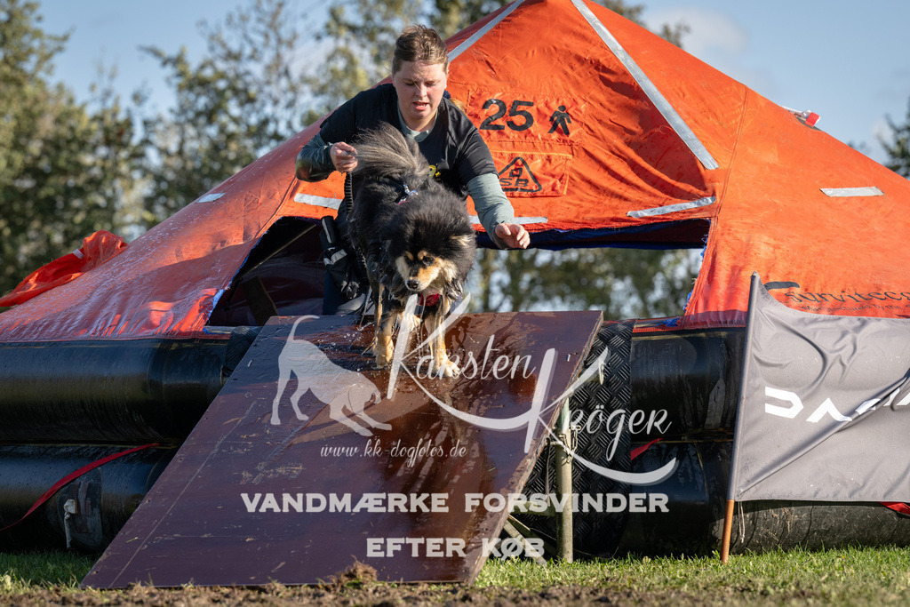 1443-94843 | kk-dogfotos