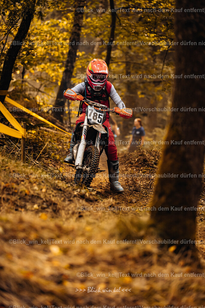 E68A4046 | blick_win_kel