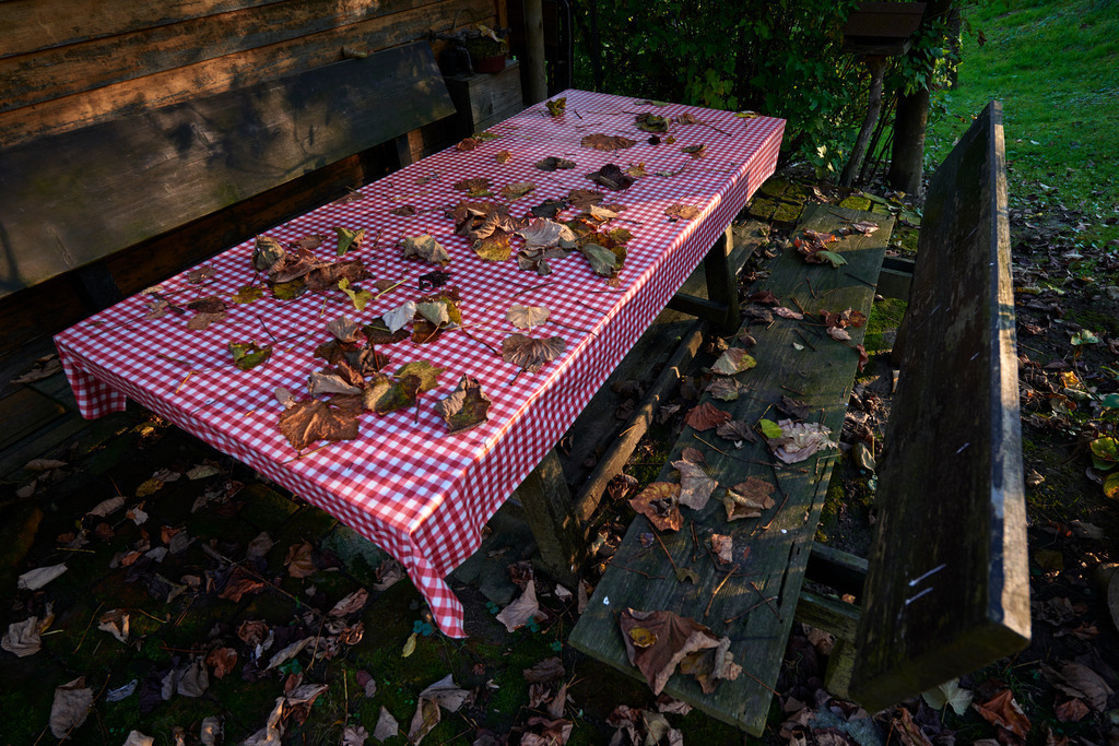 Laubbedeckte Holz-Sitzgarnitur | Heiligenbrunn, Austria - October 23, 2016: Laubbedeckte Holz-Sitzgarnitur mit rot-weiss kariertem Tischtuch. - Realisiert mit Pictrs.com