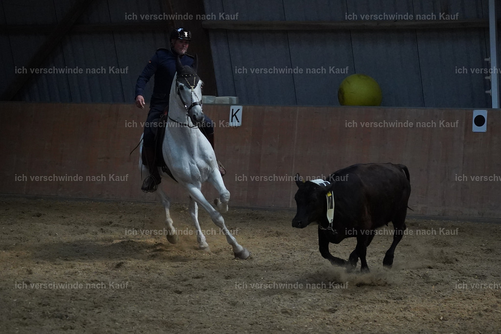 KlasseS_Lucie (11) | working equitationturnier fotograf videograf stoibphotography marixx film working equitation deutschland reitsport turnierfotografie eventfotografie equestrian events