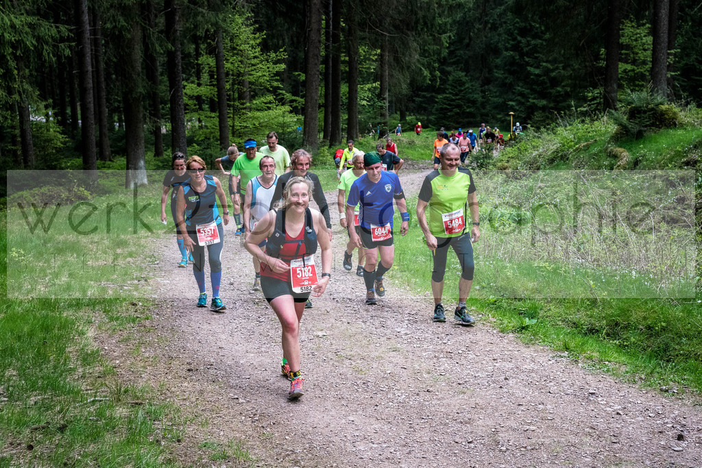 Rennsteiglauf 2019 | Marathon Neuhaus/Rwg. - Schmiedefeld am 18. Mai 2019