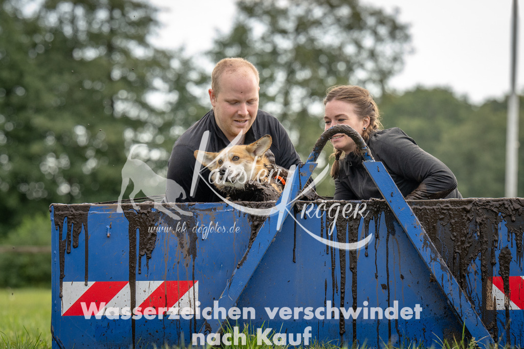 1008_ZZ90681 | kk-dogfotos