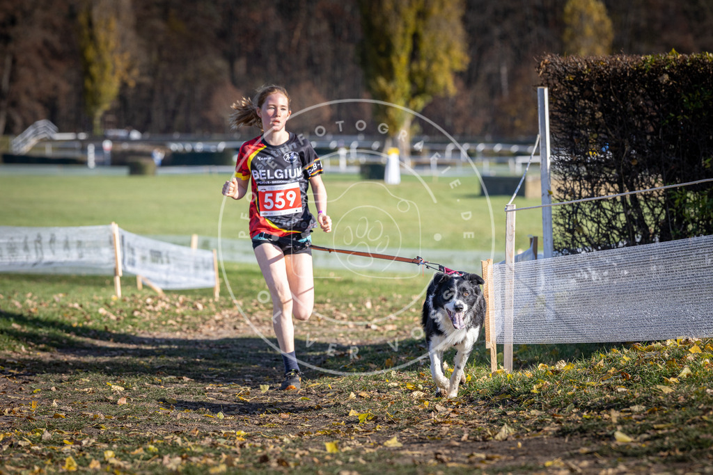 CaniXpix_DV3A8654 | Hundefotografie, Tierfotograf, Pfotenfotografie, Fotoshooting Hund, Hunde Portrait, Hundesport, Hundeportraits, Heideshooting, Hunde, Sportfotograf, Hundefotograf, Turnierhundsport, THS,  - Realisiert mit Pictrs.com
