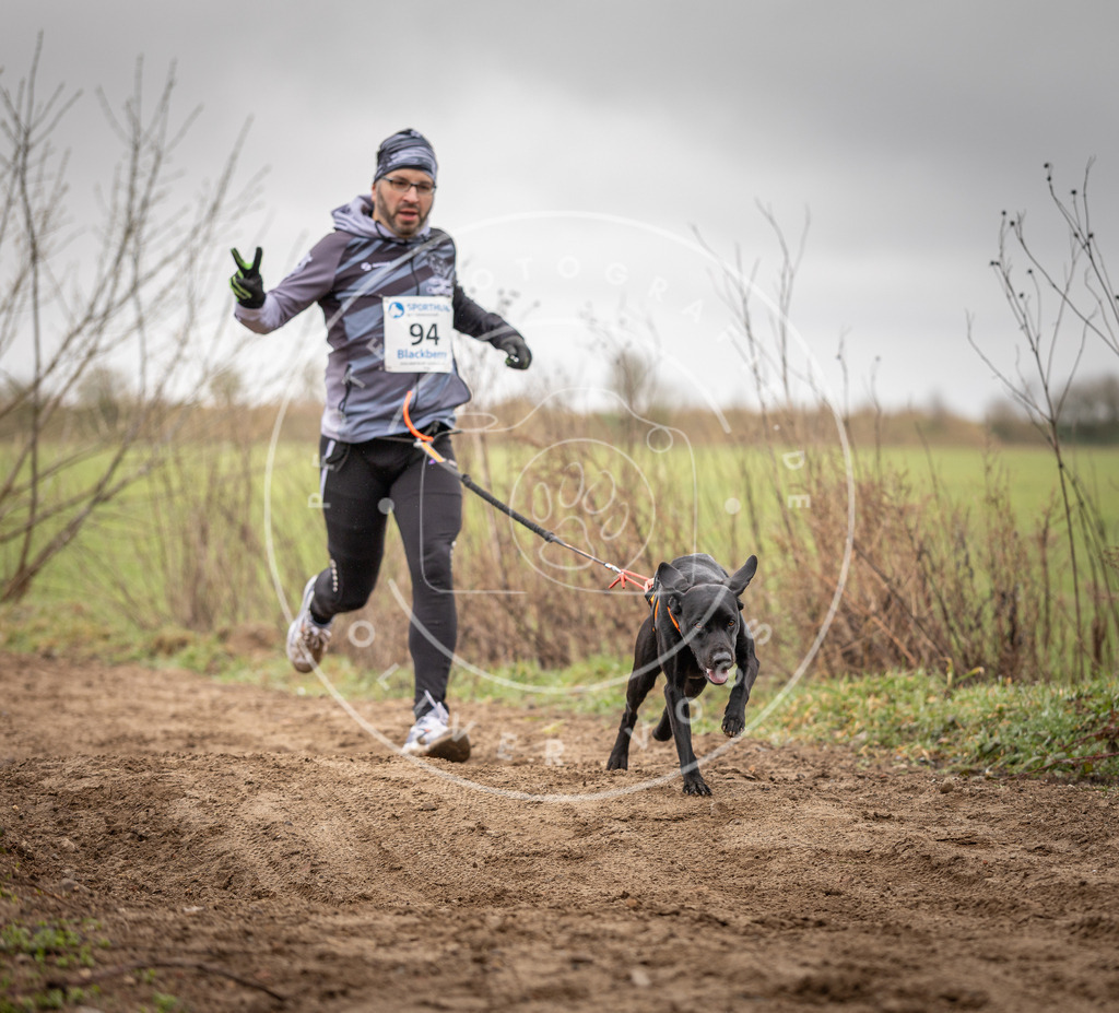 DV3A0064 | Hundefotografie, Tierfotograf, Pfotenfotografie, Fotoshooting Hund, Hunde Portrait, Hundesport, Hundeportraits, Heideshooting, Hunde, Sportfotograf, Hundefotograf, Turnierhundsport, THS,  - Realisiert mit Pictrs.com