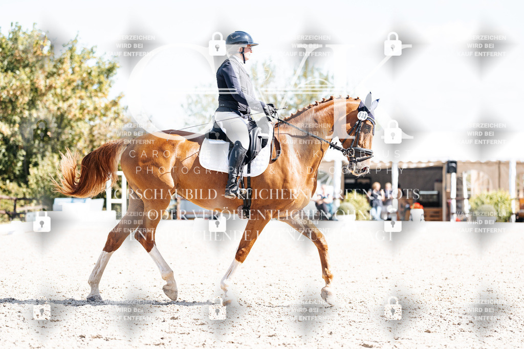 CK903177 | Turnierfotografie Pferdefotografie Trier Rheinland-Pfalz Pferdesport Reitsport Tierfotografie Sportfotografie Pferdevideo Pferdevideografie Equestrianvideography equestrianphotography  - Realisiert mit Pictrs.com