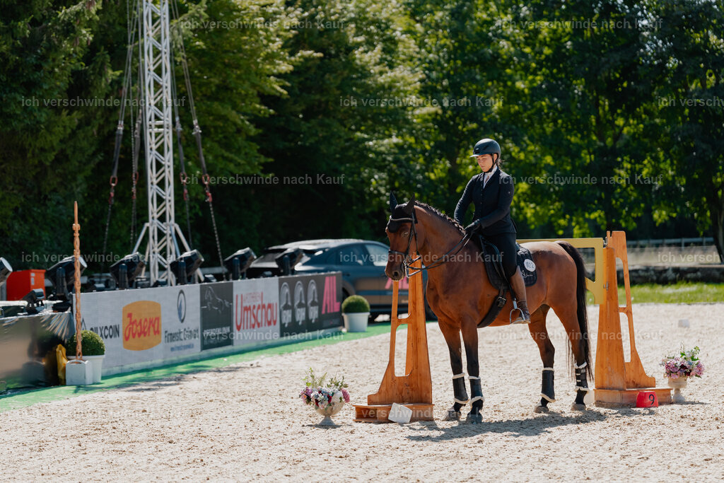 Nadine22_FHC2025-79 | working equitationturnier fotograf videograf stoibphotography marixx film working equitation deutschland reitsport turnierfotografie eventfotografie equestrian events
