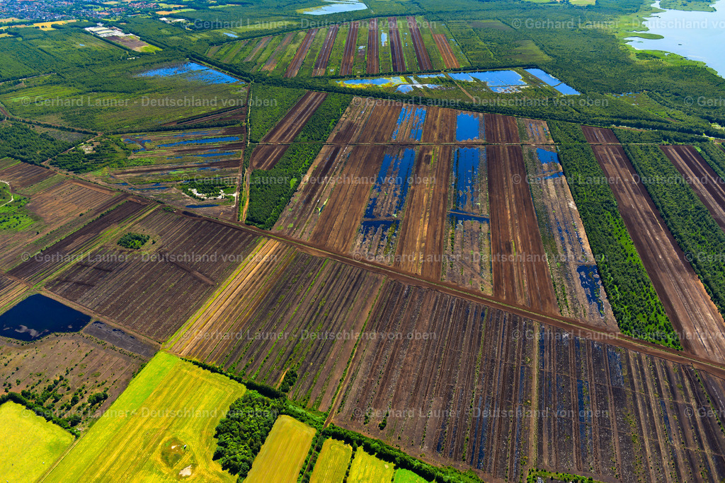 3620611 | Steinhuder Moor