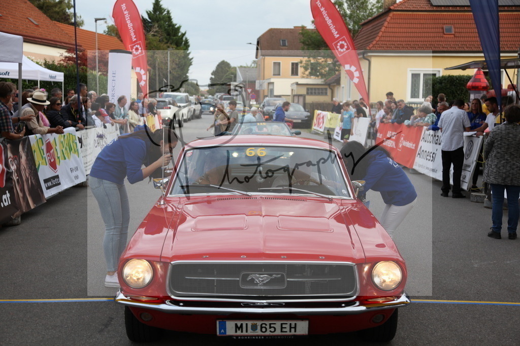 IMG_6425 | Gerhard Witt