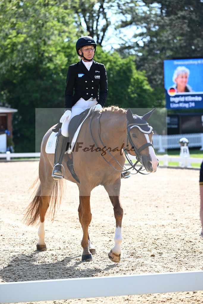 Klimke_Lion King_12244755 | hf-fotografie - Realisiert mit Pictrs.com