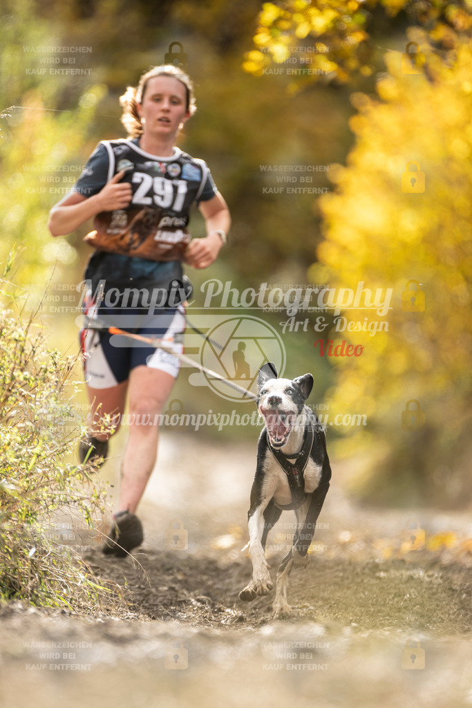 MompixPhotography_ICF_WC_2024_SA_Run_-146 | PayLife