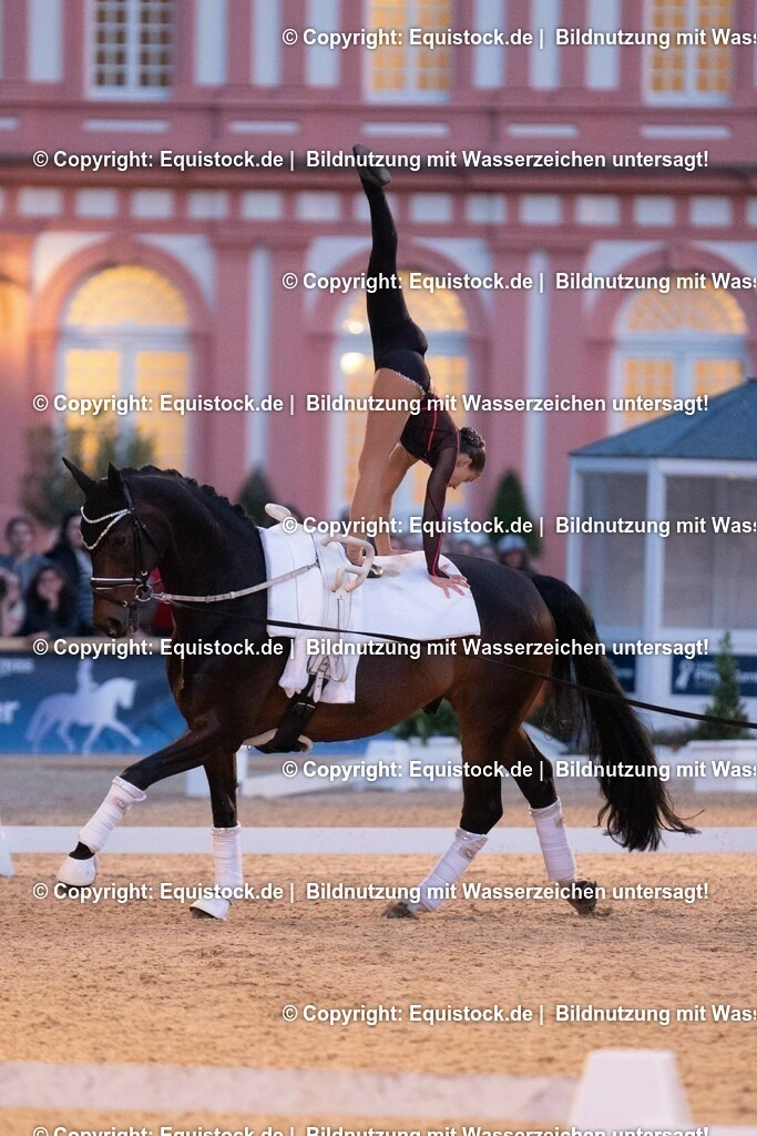 20230527_Voltigieren_NASPA_Flutlicht_0498 | equistock