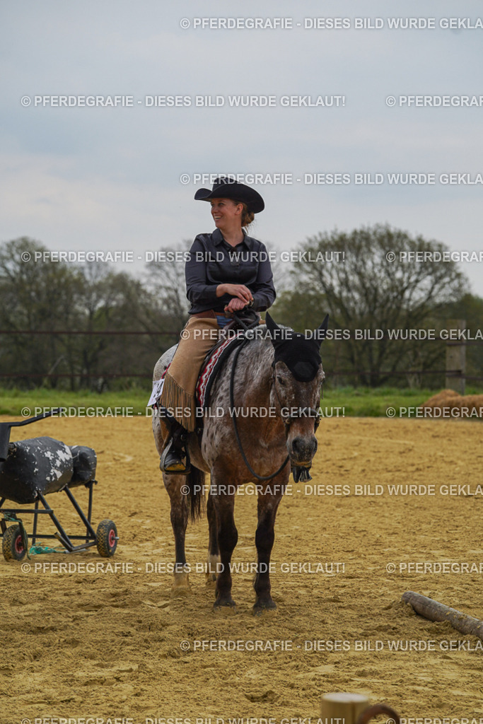 DSC07853 | Pferdegrafie