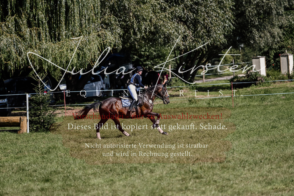 DSC_1860 | Pferde- und Turnierfotografie in Westsachsen. Pferdeportraits, Auftragszeichnungen und intuitive Kunst.