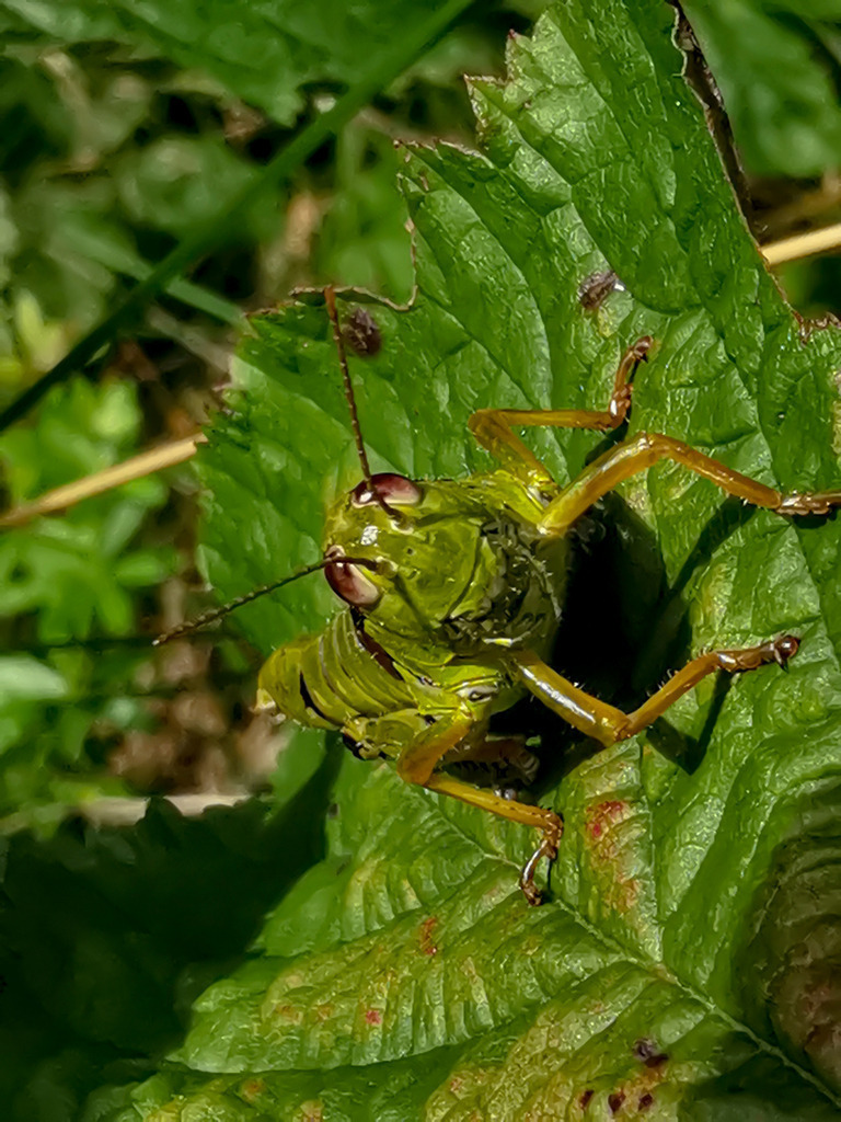 PSX_20230902_000249 | mtkfoto_ - Realisiert mit Pictrs.com