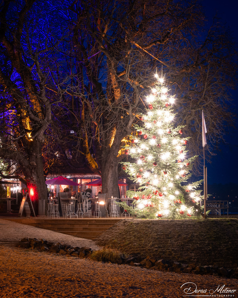 DSC_6729 | Fotografien, Fotos und Bilder aus Mainz, Frankfurt, Wiesbaden und anderen Orten auf der Welt - Fotografiert von Darius Metzner