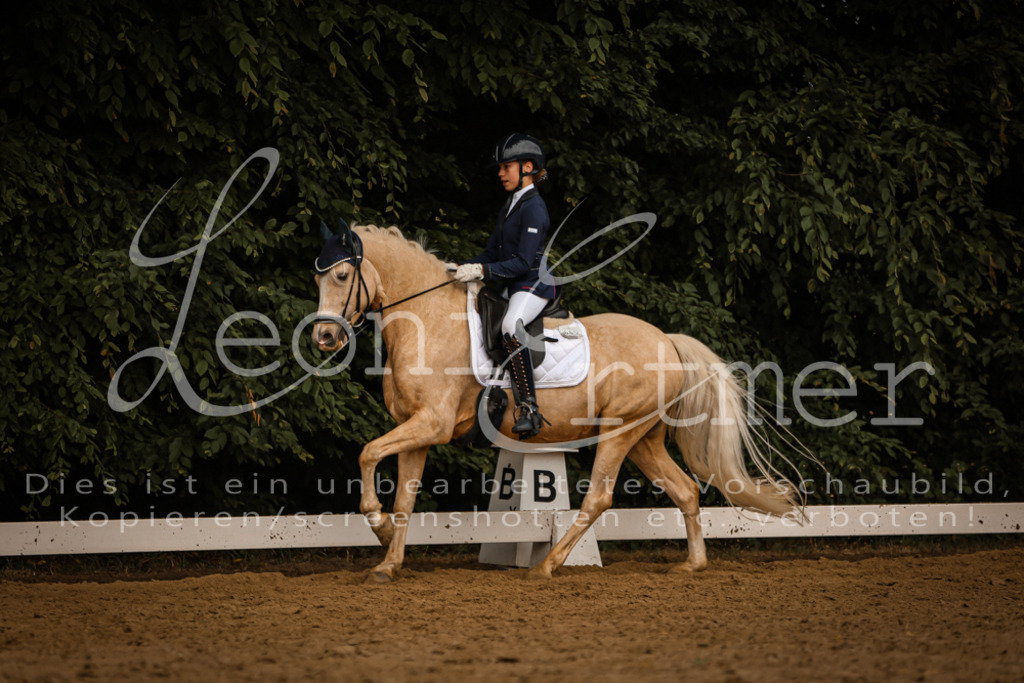 DoDrA00613 | Leoni Ertmer Photography - Realisiert mit Pictrs.com