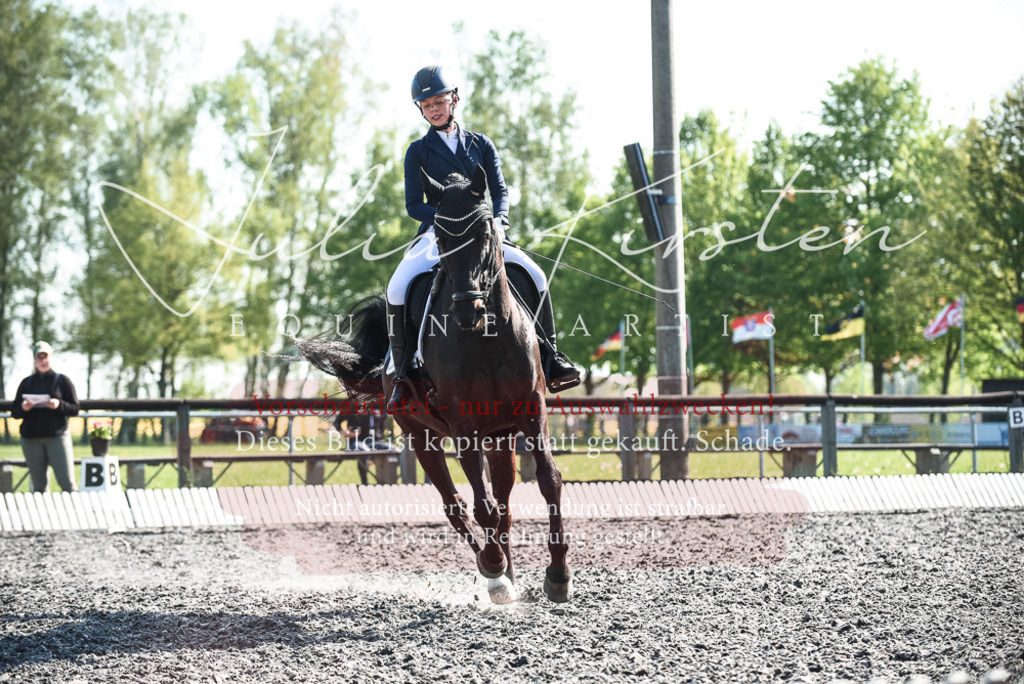 DSC_8586 | Pferde- und Turnierfotografie in Westsachsen. Pferdeportraits, Auftragszeichnungen und intuitive Kunst.