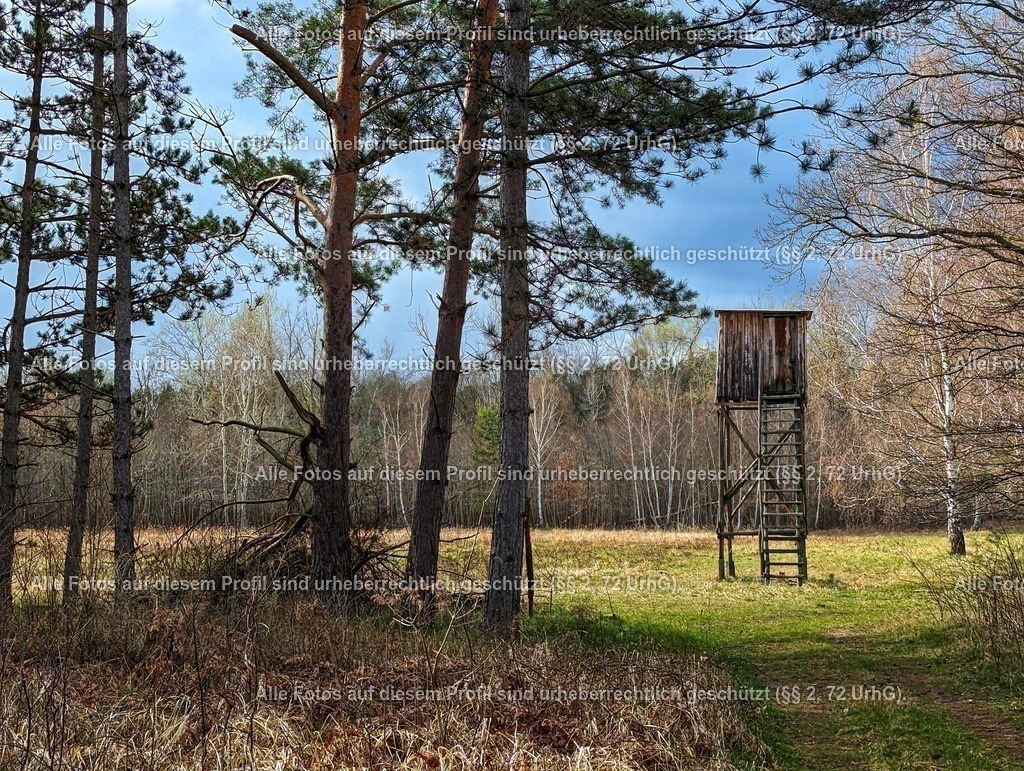 PXL_20240324_134008052-01 | krollfotografie - Realisiert mit Pictrs.com