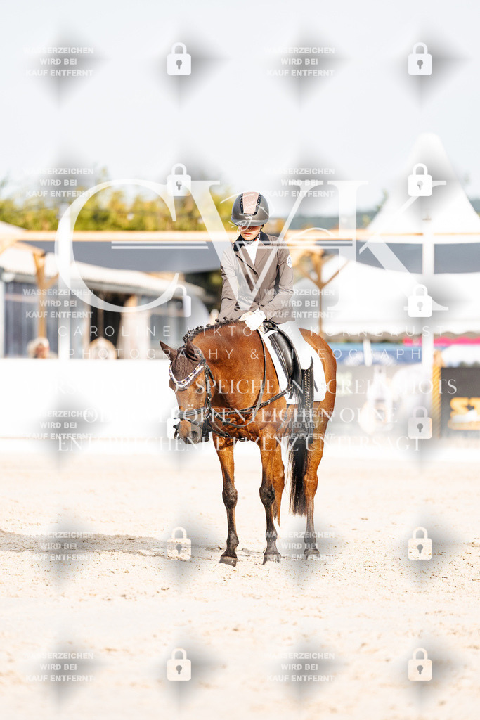 CK904124 | Turnierfotografie Pferdefotografie Trier Rheinland-Pfalz Pferdesport Reitsport Tierfotografie Sportfotografie Pferdevideo Pferdevideografie Equestrianvideography equestrianphotography  - Realisiert mit Pictrs.com